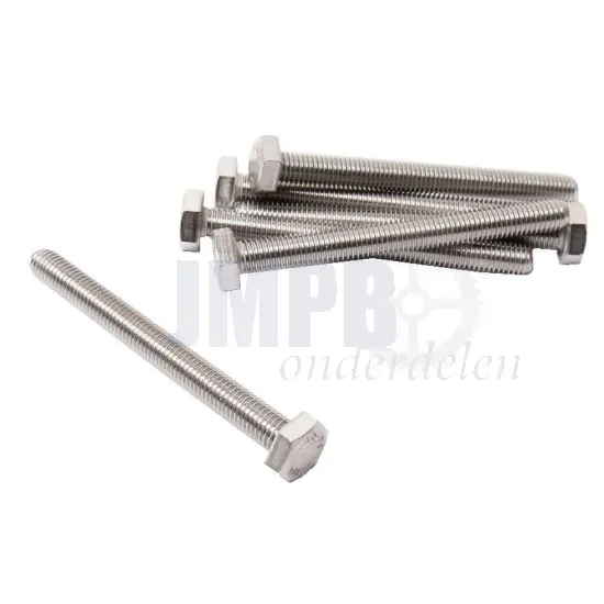 Bout Zeskant M10-1.5X100 RVS Din 933