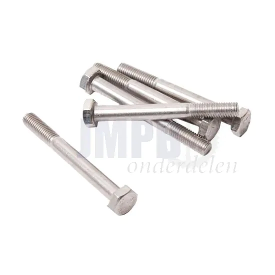 Bout Zeskant M10X90 RVS Din 931