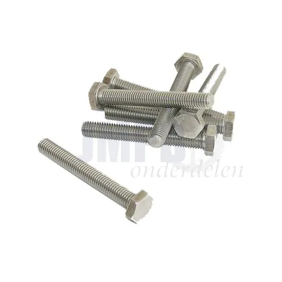 Bout Zeskant M10X75 RVS Din 933