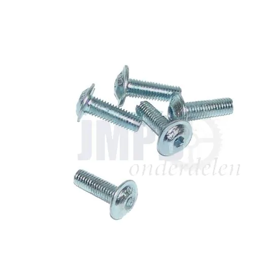 Flensbout Verzinkt M5X16 Inbus