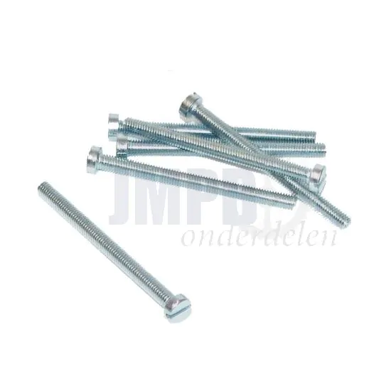 Cilinderbout M6X60 Verzinkt Din 84