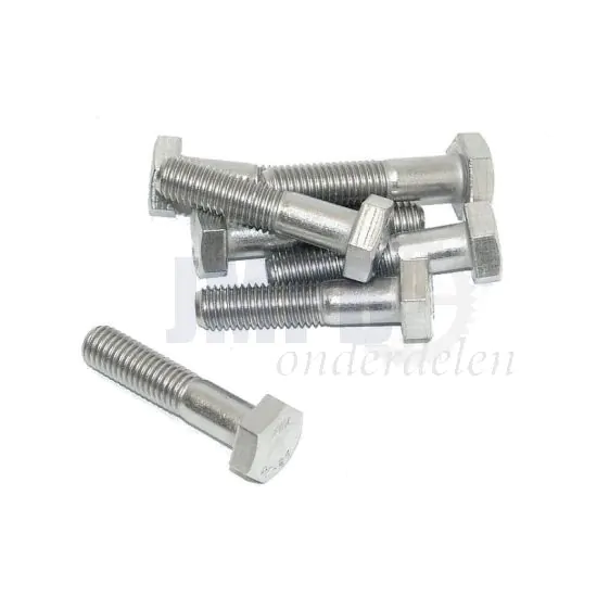 Bout Zeskant M10X55 RVS Din 931
