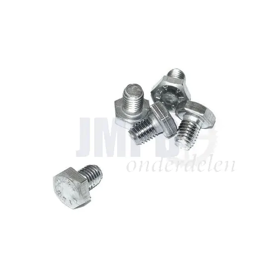 Bout Zeskant M10X14 RVS Din 933