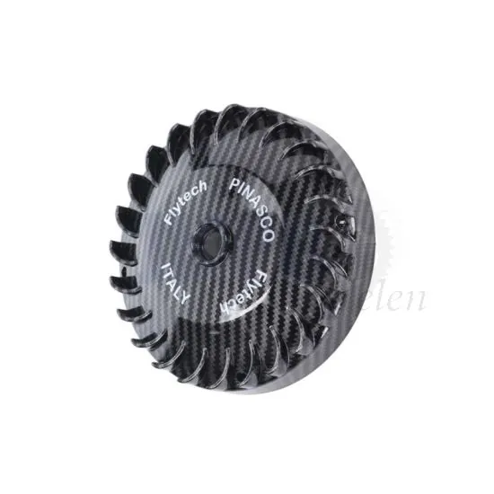 Vliegwiel Citta/Ciao/Si Pinasco Electronische Ontsteking