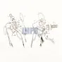 Rem / Koppelings Handlebout Honda MT50