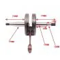 Krukas Sachs / Hercules Pen 14 Top Racing