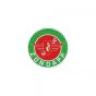 Sticker Zundapp Logo Groen Rond 55MM