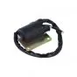Bobine 6 Volt Puch / Vespa Zwart