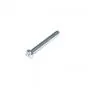 Schroef Knipperlichtglas Yamaha FS1 Oud Model