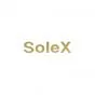 Sticker Solex Goud Recht 62X15MM