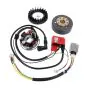 Ontsteking Kokusan EVO 2 Plus Red Line 12 Volt Geforceerd