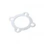 Borgplaat Achtertandwiel Tomos A3/A35