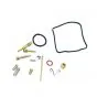 Carburateur Revisieset 24MM Mokini