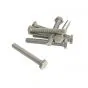 Bout Zeskant M10X75 RVS Din 933