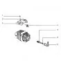 Bougie & Dop Gilera Citta