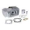50CC Cilinder 5.5PK Import Kreidler RMC