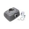 Cilinder 50CC Snel Zundapp Minitherm