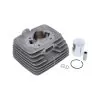 Cilinder 50CC Snel Zundapp Minitherm